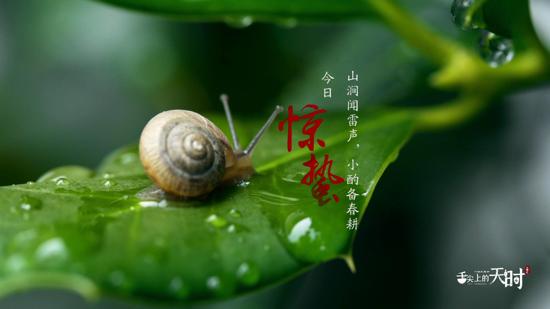&#24320;&#20113;&#30331;&#38470;&#20837;&#21475;&#45;&#24320;&#20113;&#111;&#110;&#108;&#105;&#110;&#101;&#40;&#20013;&#22269;&#41;